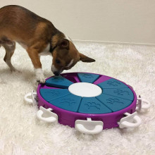Игрушка для собак Nina Ottosson Dog Twister (Твистер) интерактивная 3 уровень сложности d= 26 см (no67335)