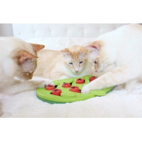 Іграшка для котів Nina Ottosson Cat Buggin Out Puzzle & Play (Головоломка) інтерактивна 2 рівень 35x29 (no69479)