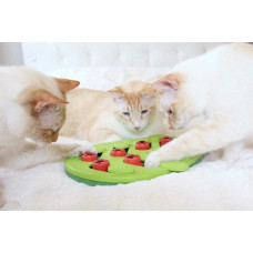 Іграшка для котів Nina Ottosson Cat Buggin Out Puzzle & Play (Головоломка) інтерактивна 2 рівень 35x29 (no69479)