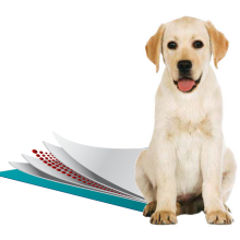 Влагопоглощающие пеленки для собак Simple Solution Training Premium Dog Pads 58х60см 50шт (ss13401)