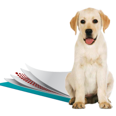 Влагопоглощающие гігієнічні пелюшки для собак Simple Solution Training Premium Dog Pads 58х60см 50шт (ss13401)
