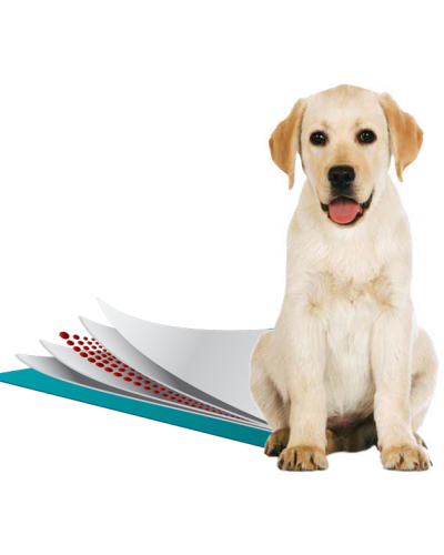 Влагопоглощающие пеленки для собак Simple Solution Training Premium Dog Pads 58х60см 50шт (ss13401)
