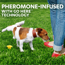 Привчання собак до туалету в певному місці Simple Solution Pee Post Pheromone-Treated Yard Stake (ss13000)