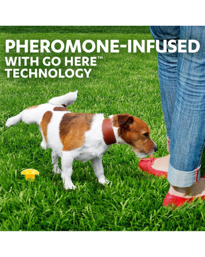 Привчання собак до туалету в певному місці Simple Solution Pee Post Pheromone-Treated Yard Stake (ss13000)
