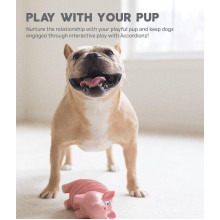 Игрушка для собак Outward Hound Accordionz Pig (Свинка-аккордеон) розовый 19 см (oh68092)
