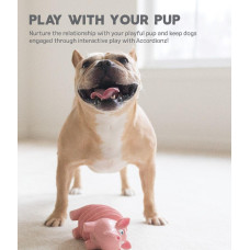 Игрушка для собак Outward Hound Accordionz Pig (Свинка-аккордеон) розовый 19 см (oh68092)