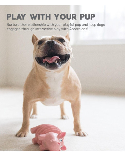 Игрушка для собак Outward Hound Accordionz Pig (Свинка-аккордеон) розовый 19 см (oh68092)