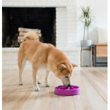 Миска-лабіринт для тварин Outward Hound Fun Feeder (Фан-Фідер) Вир d=20.2, H=5см, 240г. Помаранчевий (oh51004)