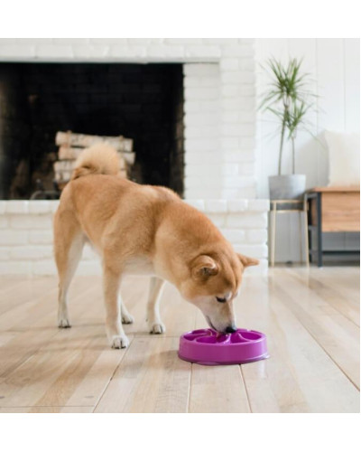 Миска-лабіринт для тварин Outward Hound Fun Feeder (Фан-Фідер) Вир d=20.2, H=5см, 240г. Помаранчевий (oh51004)