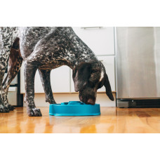 Миска-лабіринт для тварин Outward Hound Fun Feeder (Фан-Фідер) Дроп d = 27.5, H = 6.5 см, 480 г. Бірюзовий (oh51002)