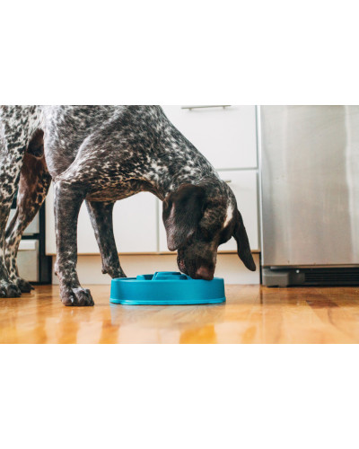 Миска-лабіринт для тварин Outward Hound Fun Feeder (Фан-Фідер) Дроп d = 27.5, H = 6.5 см, 480 г. Бірюзовий (oh51002)