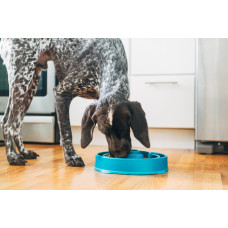Миска-лабіринт для тварин Outward Hound Fun Feeder (Фан-Фідер) Дроп d = 27.5, H = 6.5 см, 480 г. Бірюзовий (oh51002)