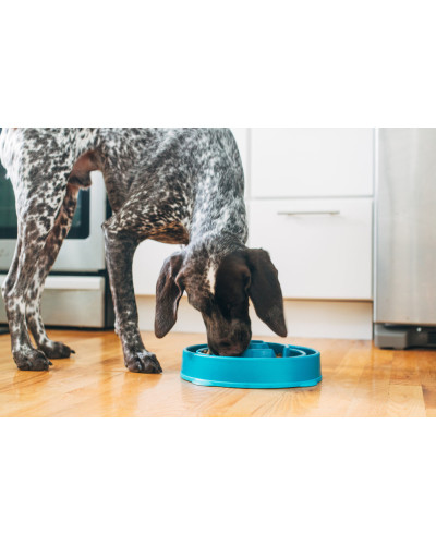 Миска-лабіринт для тварин Outward Hound Fun Feeder (Фан-Фідер) Дроп d = 27.5, H = 6.5 см, 480 г. Бірюзовий (oh51002)