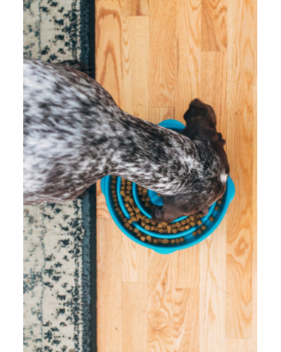 Миска-лабіринт для тварин Outward Hound Fun Feeder (Фан-Фідер) Дроп d = 27.5, H = 6.5 см, 480 г. Бірюзовий (oh51002)