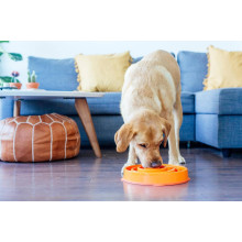 Миска-лабиринт для животных Outward Hound Fun Feeder (Фан-Фидер) Дроп d=29,9,H=5см,480г Серый (oh69892)