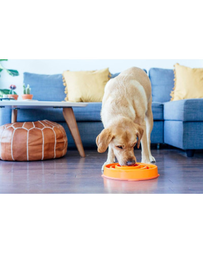 Миска-лабіринт для тварин Outward Hound Fun Feeder Drop (Фан-Фідер) Дроп d = 29.9, H = 5 см, 480 г. Сірий (oh69892)