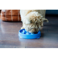 Миска-лабіринт для тварин Outward Hound Fun Feeder (Фан-Фідер) Дроп d = 20.2, H = 5.5 см, 240 г. Бірюзовий (oh51006)