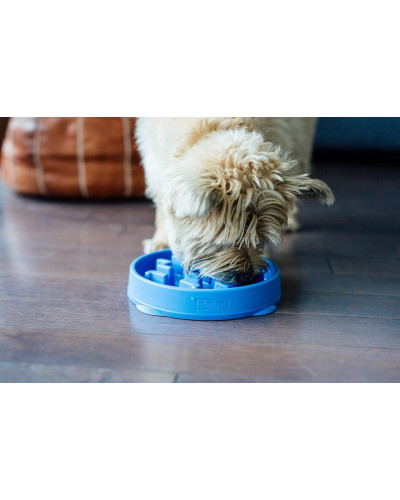 Миска-лабіринт для тварин Outward Hound Fun Feeder (Фан-Фідер) Дроп d = 20.2, H = 5.5 см, 240 г. Бірюзовий (oh51006)