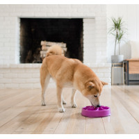 Миска-лабіринт для тварин Outward Hound Fun Feeder (Фан-Фідер) Квітка d = 27.5, H = 5 см, 480 г. Фіолетовий (oh51003)