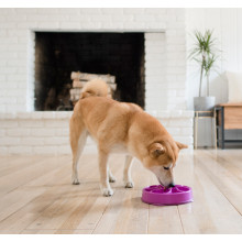 Миска-лабиринт для животных Outward Hound Fun Feeder Цветок d=27.5,H=5 см,480г. Фиолетовый (oh51003)