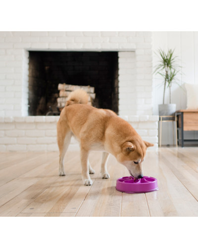 Миска-лабиринт для животных Outward Hound Fun Feeder Цветок d=27.5,H=5 см,480г. Фиолетовый (oh51003)
