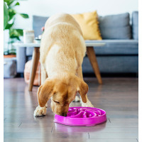 Миска-лабіринт для тварин Outward Hound Fun Feeder (Фан-Фідер) Квітка d = 27.5, H = 5 см, 480 г. Фіолетовий (oh51003)