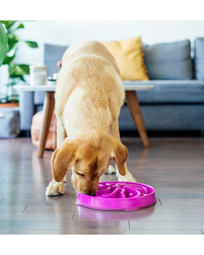 Миска-лабиринт для животных Outward Hound Fun Feeder Цветок d=27.5,H=5 см,480г. Фиолетовый (oh51003)
