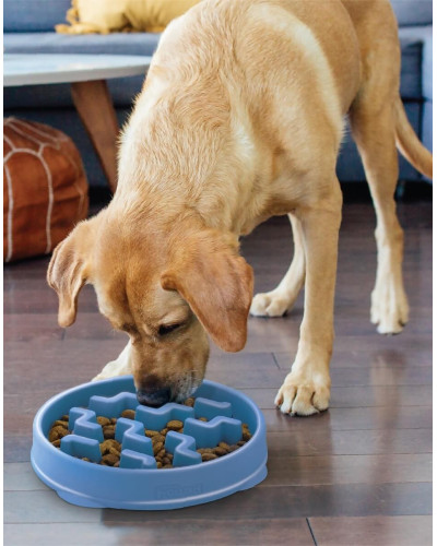 Миска-лабиринт для животных Outward Hound Fun Feeder Тетрис d=29.2,H=5.1см, 480г. Голубой (oh67831)