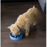 Миска-лабіринт для тварин Outward Hound Fun Feeder (Фан-Фідер) Тетріс d = 20.3, H = 3.8 см, 240 г. Блакитний (oh67830)