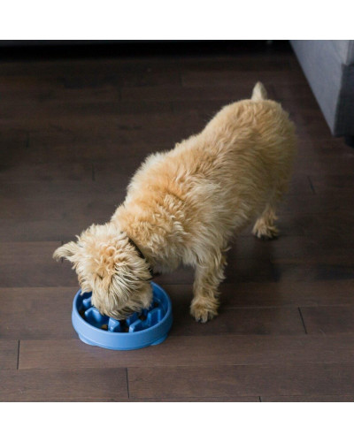 Миска-лабиринт для животных Outward Hound Fun Feeder Тетрис d=20.3,H=3.8см,240 г. Голубой (oh67830)