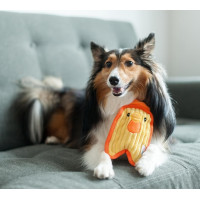 Игрушка для собак Outward Hound Invincibles Minis Chicky пищалка 20х11х4см (oh67805)