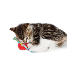 Іграшка для котів Petstages Kitty Chew Wheel (Колесо) червоний 5,1х12,7х1,3см (pt715)