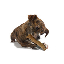 Игрушка для собак Petstages Dogwood Mesquit Прочная ветвь с ароматом барбекю из дерева средняя (pt30144)