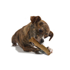 Игрушка для собак Petstages Dogwood Mesquit Прочная ветвь с ароматом барбекю из дерева малая (pt30143)