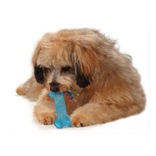 Игрушка для собак Petstages Orka Bone Mini (Орка косточка мини) 12 см (pt221)