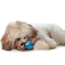 Игрушка для собак Petstages Mini Orka Ball (Орка мини мячик с канатом) D-6 см (pt222)