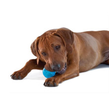 Іграшка для собак Petstages Orka Tennis Ball Blu (Орка тенісний м`яч) 6 см (pt235)