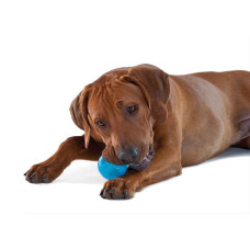 Игрушка для собак Petstages Orka Tennis Ball Blu (Орка теннисный мяч) 6 см (pt235)
