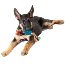 Игрушка для собак Petstages Orka Pine Cone Chew (Орка шишка с канатом) 10 см синий (pt223)