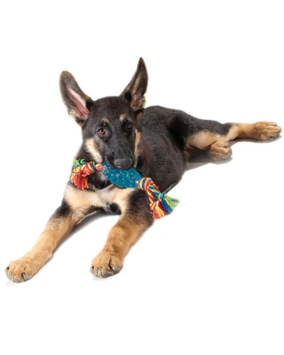 Игрушка для собак Petstages Orka Pine Cone Chew (Орка шишка с канатом) 10 см синий (pt223)