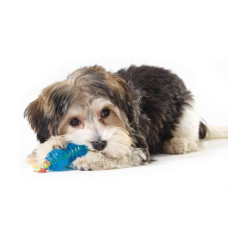Игрушка для собак Petstages Orka Petite Chew Pair (Набор игрушек Орка косточка и гантель мини) 9/4,5см (pt234)