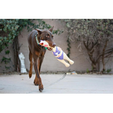 Іграшка-пищалка для собак Petstages Squawkers Henrietta (Курка) 30х7,5х6 см (pt69502)