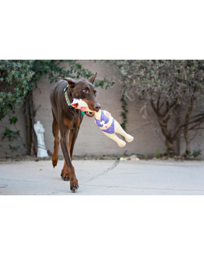 Іграшка-пищалка для собак Petstages Squawkers Henrietta (Курка) 30х7,5х6 см (pt69502)