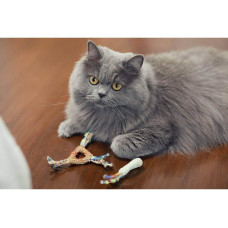Іграшка для кішок Petstages Catnip Dental Health Chew для зубів з котячою м'ятою 21,6x8,9x1,3см (pt326)