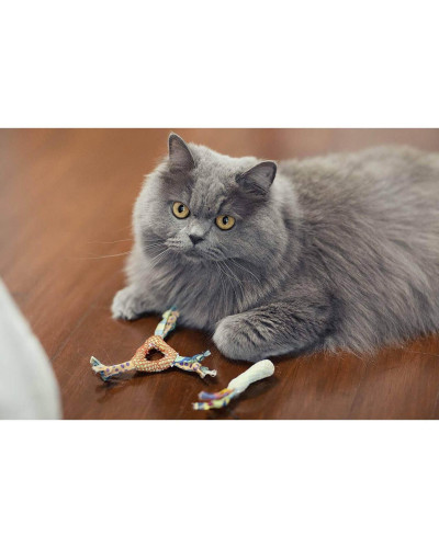 Іграшка для кішок Petstages Catnip Dental Health Chew для зубів з котячою м'ятою 21,6x8,9x1,3см (pt326)