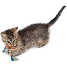 Іграшка для кішок Petstages Catnip Dental Health Chew для зубів з котячою м'ятою 21,6x8,9x1,3см (pt326)