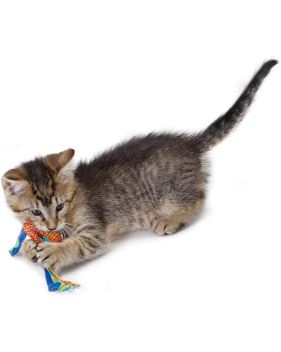 Іграшка для кішок Petstages Catnip Dental Health Chew для зубів з котячою м'ятою 21,6x8,9x1,3см (pt326)