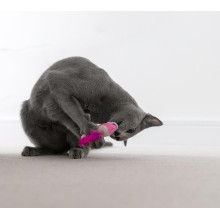Іграшка для кішок Petstages Dental Shrimpies креветки з котячою м'ятою 13 см/х2 шт (pt67836)