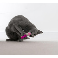 Іграшка для кішок Petstages Dental Shrimpies креветки з котячою м'ятою 13 см/х2 шт (pt67836)
