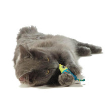 Іграшка для кішок Petstages Catnip Chew Mice Мишки з котячою м'ятою 7 см/х2 шт (pt327)